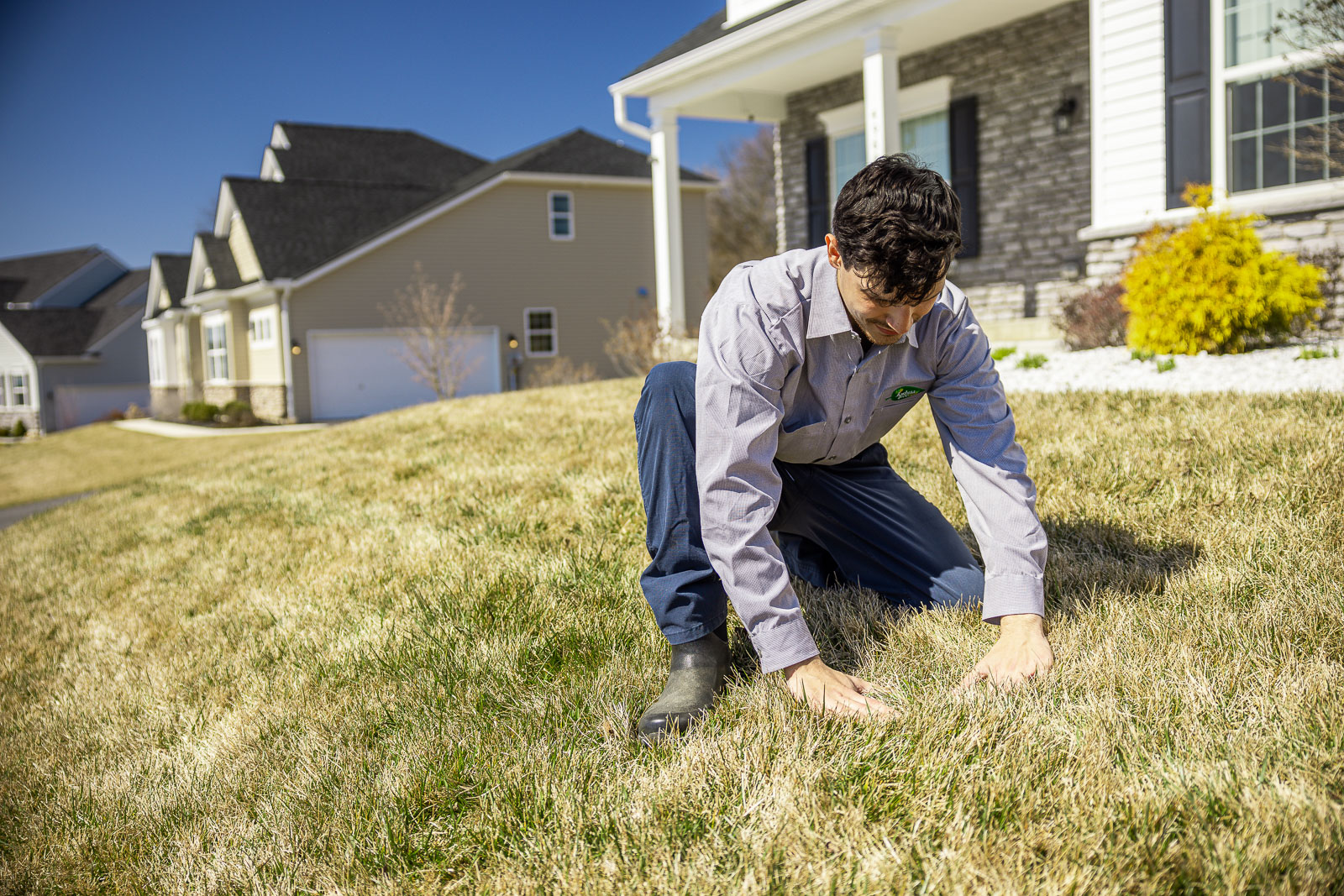 4-tips-for-nutsedge-control-in-your-pennsylvania-lawn